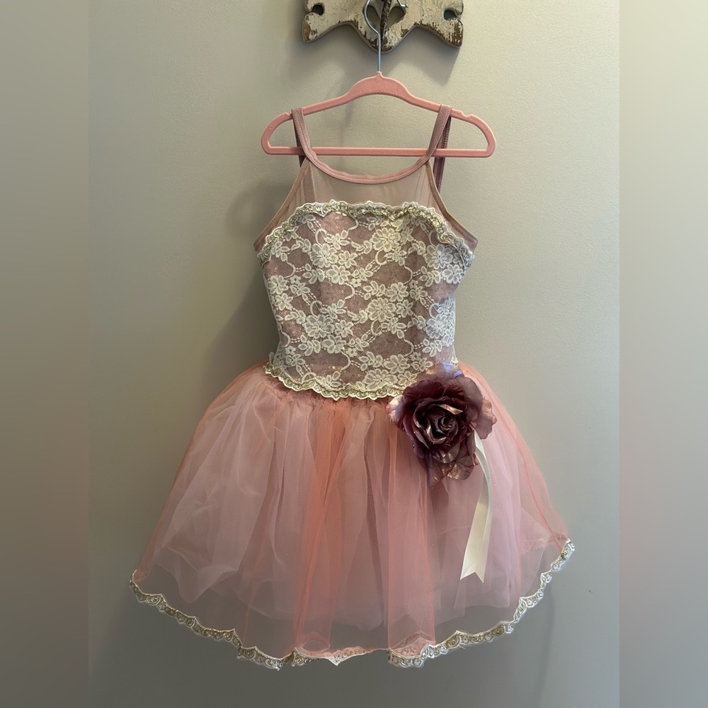 Weissmans Gorgeous Ballet Costume dress